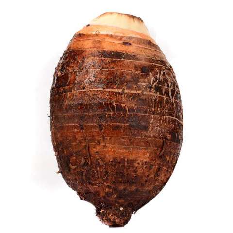 Authenticated GAP/HALAL Chinese frozen taro root plant